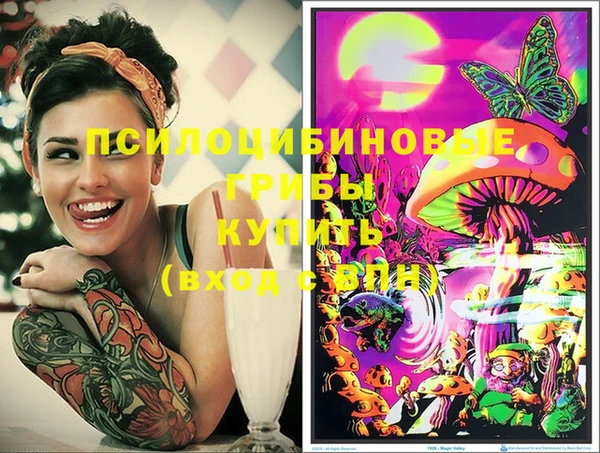 spice Вязники