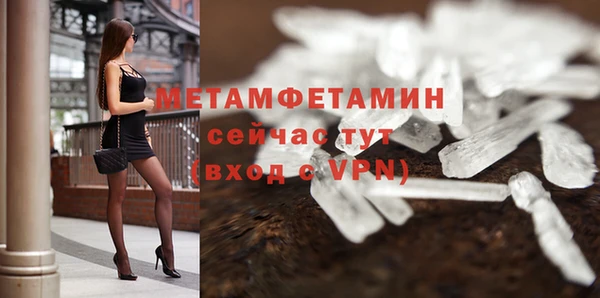 прущая мука Вяземский