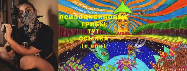 прущая мука Кукмор