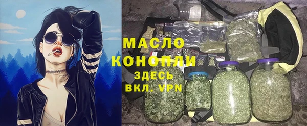 прущая мука Вяземский
