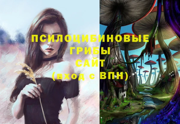 spice Вязники