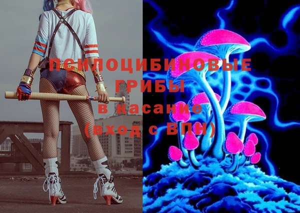 spice Вязники